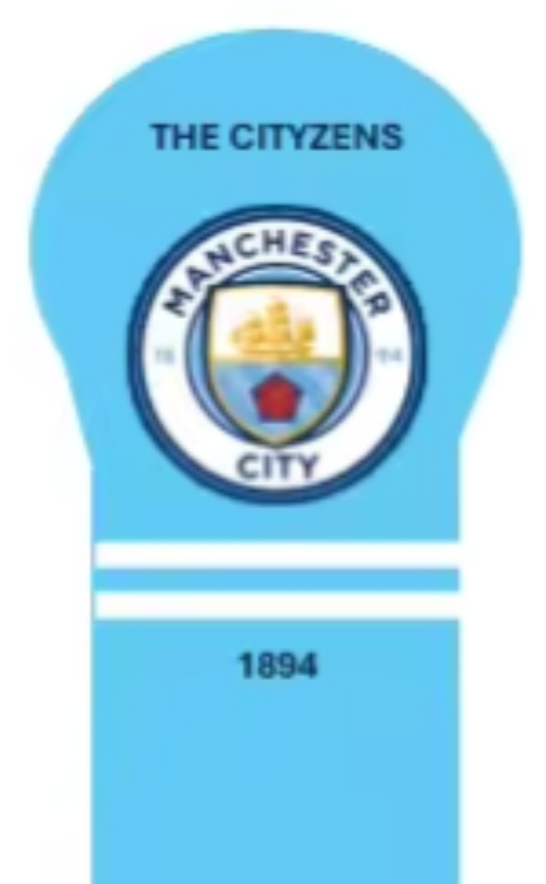 Manchester City Golf Driver Headcover